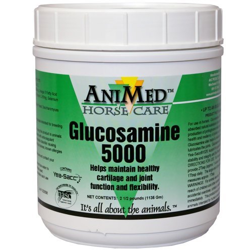 Glucosamine 5000