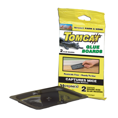 TomCat Glue Board Rat