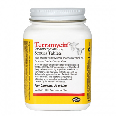 Scour Tablets