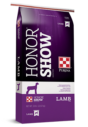 Honor Show Lamb Textured